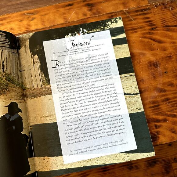 Vintage 2002 Scholastic 1621 A New Look At Thanksgiving Paperback Book - Picture 5 of 11